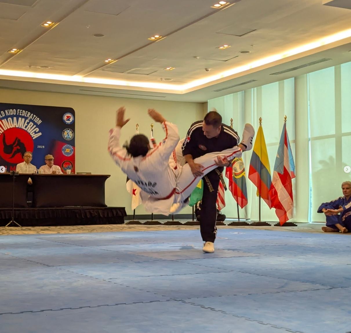 Hapkido Technique